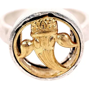 Prsten Prsten slon stříbrné barvy Barva: Zlatý slon