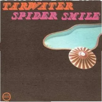 Zahraniční hudba LP Tarwater: Spider Smile 2007