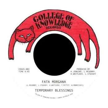 Zahraniční hudba SP Temporary Blessings: Fata Morgana 2025