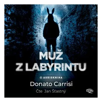Muž z labyrintu - Donato Carrisi