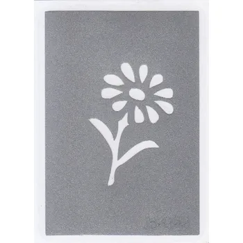 Odstranitelné tetování Šablona pro třpytivé tetování B099