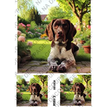 Umělecký papír Rýžový a soft papír na decoupage - Pejsek - KB01854 Materiál: Soft, Rozměr: A4