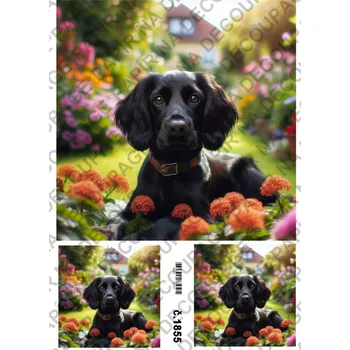 Umělecký papír Rýžový a soft papír na decoupage - Pejsek - KB01855 Materiál: Soft, Rozměr: A4