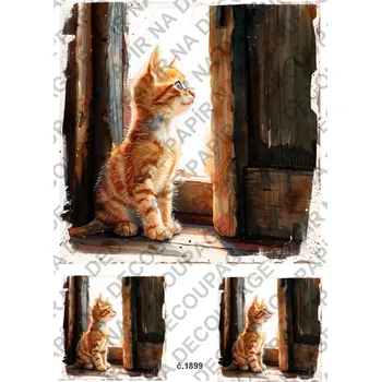 Umělecký papír Rýžový a soft papír na decoupage - Kočka ve vratech - KB01899 Materiál: Soft, Rozměr: A4