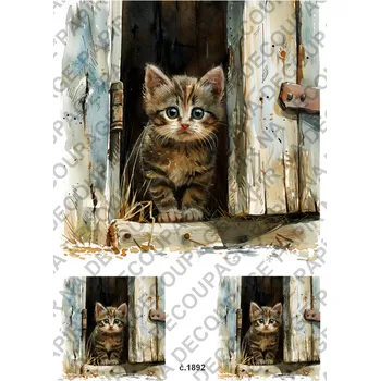 Umělecký papír Rýžový a soft papír na decoupage - Kočka ve vratech - KB01892 Materiál: Soft, Rozměr: A4