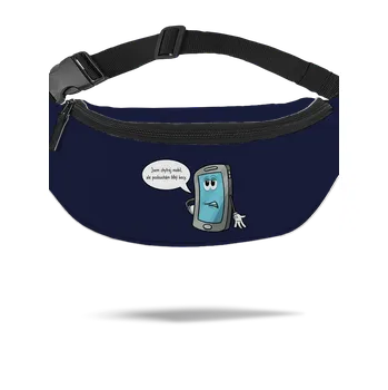 Ledvinka Bastard Chytrej mobil ledvinka French Navy