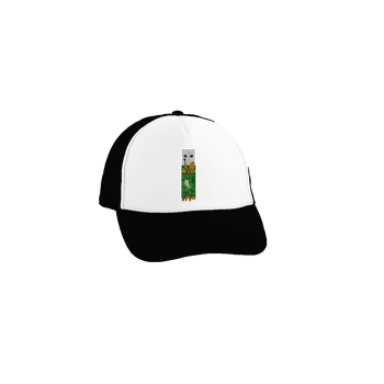 Kšiltovka Bastard USB city kšiltovka truckerka Black cap