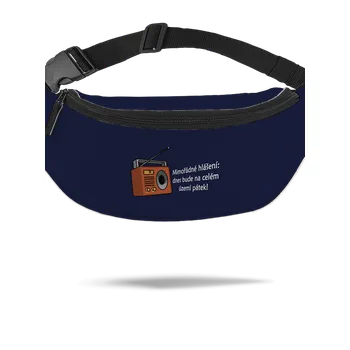 Ledvinka Bastard Mimořádné hlášení ledvinka French Navy