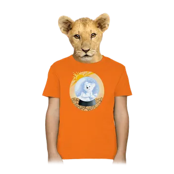Chlapecké oblečení Bastard Medvěd v kouli dětské tričko Orange