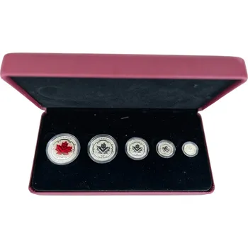 Sada 5 stříbrných mincí Maple Leaf 2015