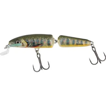 Umělá nástraha Wobler Salmo Fanatic 7,0cm F plovoucí LCR