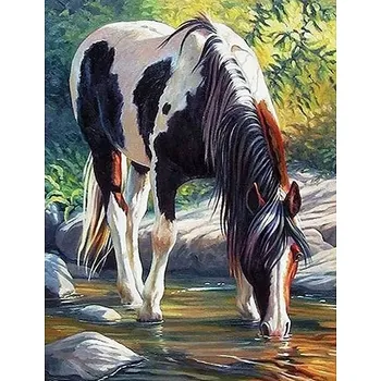 Diamantové malování Norimpex Kůň v řece 30 × 40 cm