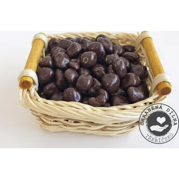 Sušené ovoce CHD Třebíčsko Meruňky v hořké čokoládě 500g