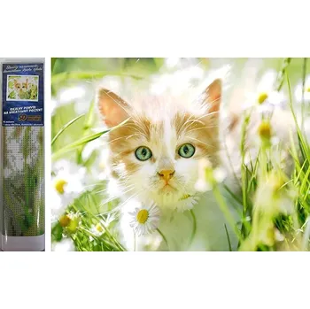 Diamantové malování Norimpex Kotě mezi sedmikráskami 30 × 40 cm