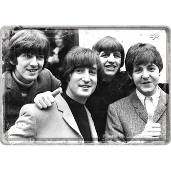 Postershop Plechová pohlednice - Beetles