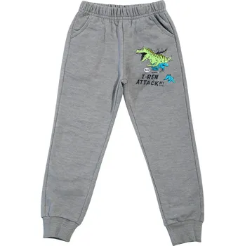 xcena Tepláky bavlněné šedé s dinosaury Velikost: 98