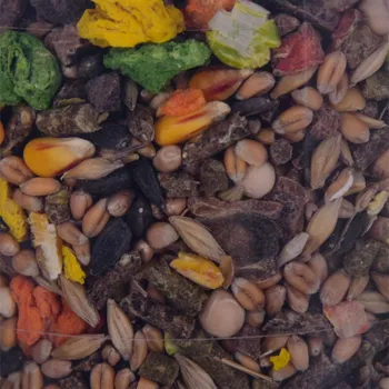 Krmivo pro rybičky Krmivo pro hlodavce Megan, 550 gr