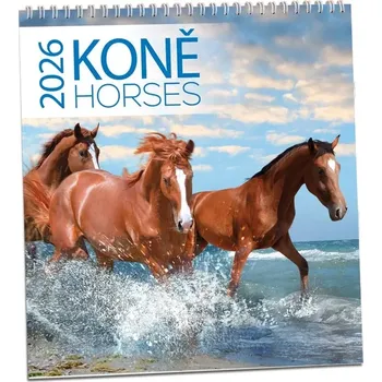 Kalendář Kalendář nástěnný Koně 2026 (KN318)