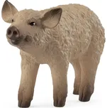 Schleich 14893 Selátko mangalica