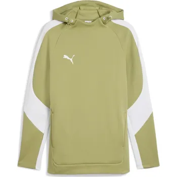 Pánská mikina Mikina s kapucí Puma teamEvostripe Hoody 659954-40 Velikost S