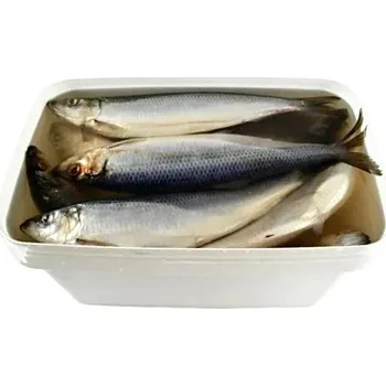 konzervovaná ryba Sleď ve slaném nálevu kbelík (čistá hmotnost 7kg) Rud