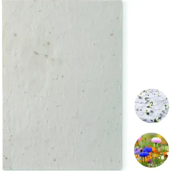 Tiskopis List A5 se semínky květin bez potisku bez potisku 30