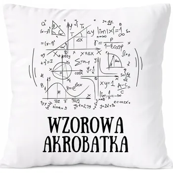 Obraz Bílý Polštář PoliDraw pro prodavače jako Dárek s potiskem