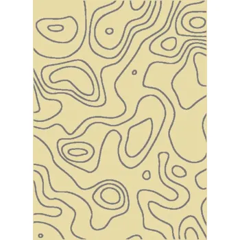 Raketový sport Koberec Ferrera 5290/EC9-W, 235x160 cm