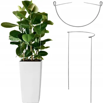 Obraz Kovové podpěry pro rostliny 100 cm 1 ks