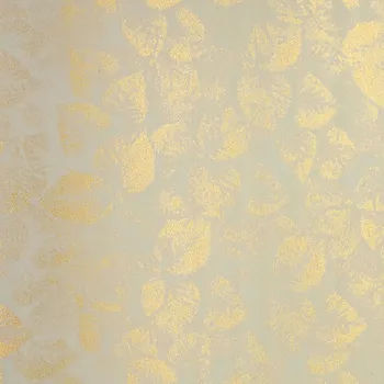 Umělecký papír Ozdobný krémový papír, archy, karton, krémové kartony pro Argo, 250 g/m2, 20 archů