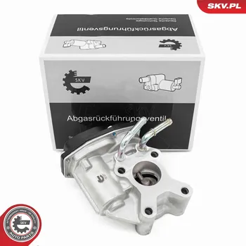 Ventil palivového systému AGR-Ventil ESEN SKV 14SKV265