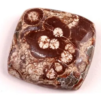 Přírodní kámen Kabošon Mushroom Green Jade č.6419 (21x20x6mm)