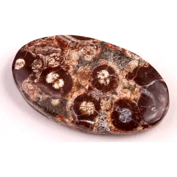 Přírodní kámen Kabošon Mushroom Green Jade č.6413 (35x21x6mm)