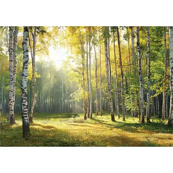 Fototapeta FOTOTAPETA LES 3D STROMY PŘÍRODA ZELENÁ NA ZEĎ LOŽNICE OBÝVACÍ POKOJ 400x280