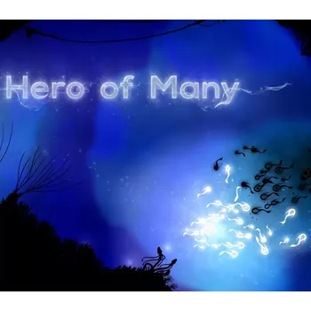 Počítačová hra Hero of Many
