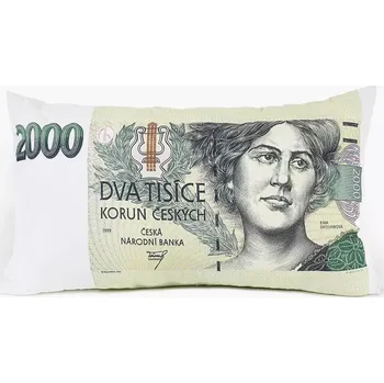 Dekorativní polštářek Škodák Polštář 3D 30 x 50 cm