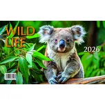 BB Art Stolní kalendář Mláďata Wild…