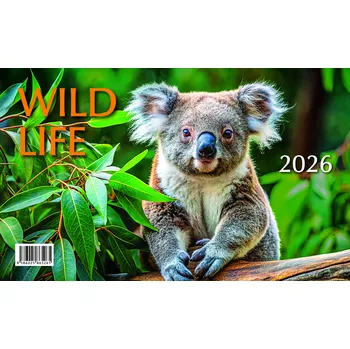 Kalendář BB Art Stolní kalendář Mláďata Wild Life 2026