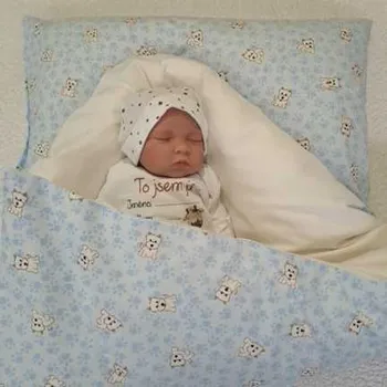 Zavinovačka Pro útulný domov Péřová zavinovačka Pejsci Sada 4v1 TYP zavinovačky: ČTVERCOVÁ, ROZMĚR zavinovačky a polštářku: 70 x 70 cm + 40 x 60 cm