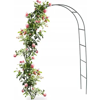 Obraz Kovová pergola GardenLine oblouk 240 cm