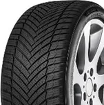 MINERVA 205/55 R 16 AS MASTER 91H MF322