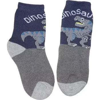 Chlapecké thermo ponožky - Dinosaurus, vel. 26/27