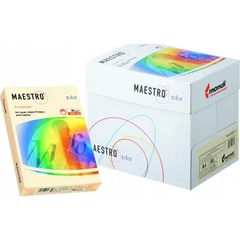 Kancelářský papír Kancelářský papír Igepa formát A4 80g 1 arch