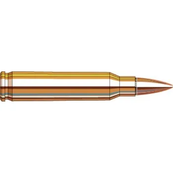Příslušenství pro sportovní střelbu Hornady Náboj kulový Hornady, TAP Training, .223 Rem, 55GR, FMJ