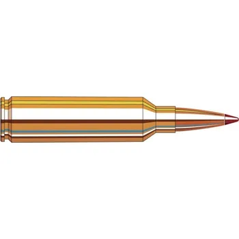 Sportovní střelba Hornady Náboj kulový Hornady, Precision Hunter, 7mm WSM, 162GR (10,5g), ELD-X