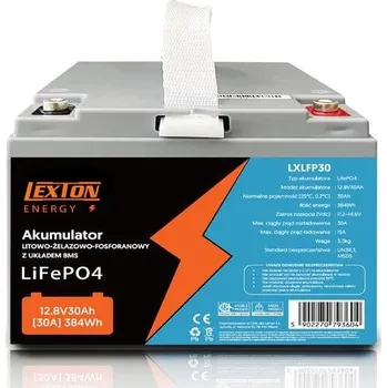 Trakční baterie 04250870 Baterie LiFePO4 12,8V 30Ah LEXTON LXLFP30 s BMS