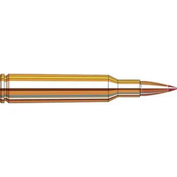 Sportovní střelba Hornady Náboj kulový Hornady, Superformance, 6mm Rem., 95GR, SST