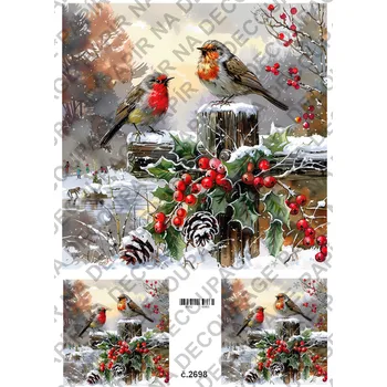 Umělecký papír Rýžový a soft papír na decoupage - Ptáček, lucerna, zima - KB2698 Materiál: Soft, Rozměr: A4