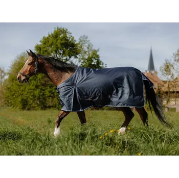 Jezdectví Výběhová deka RIDING WORLD Eco 1200D 220g tmavě modrá 145cm