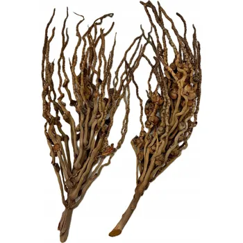 Vrták Kokosová větev 50-60 cm